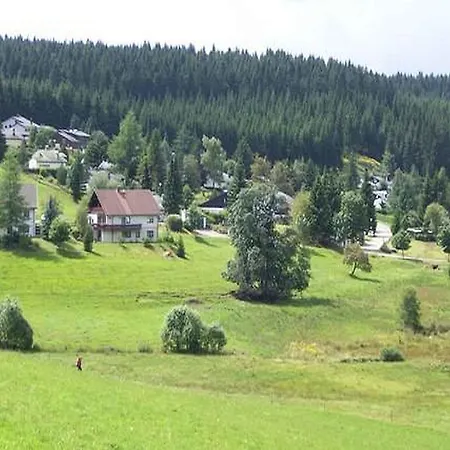 Апартаменты Haus Vennebusch Шёнвальд